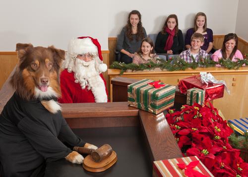 Christmas photo  business litigation Attorney & Lawyer